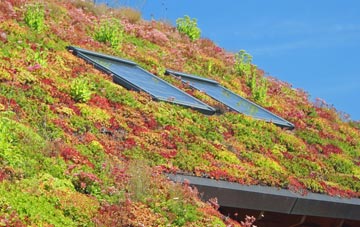 Kimmeridge living roof systems